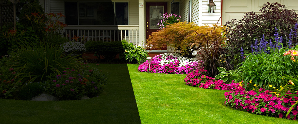 Indianapolis Landscapers