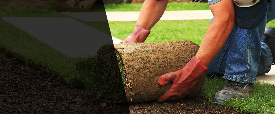 Indianapolis Landscapers